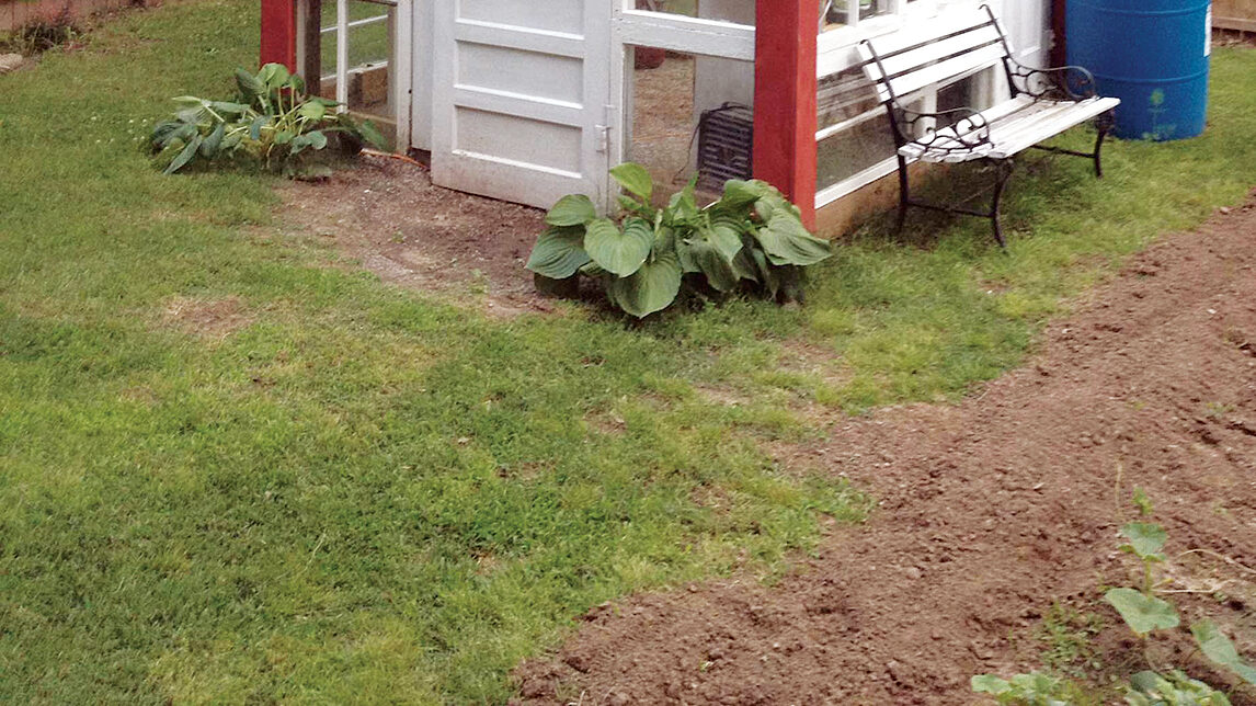 How to Build a Greenhouse from Recycled Windows – Mother Earth News - Vimarsana News